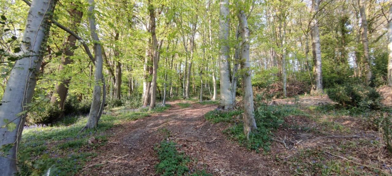Gites 4,6 Personnes Fecamp Etretat Colleville المظهر الخارجي الصورة
